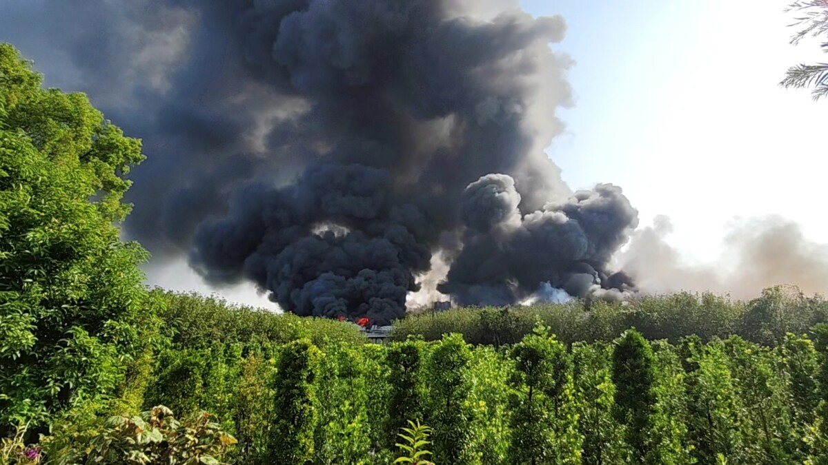 978de46a07cde65ae2430cceecbe9ae2