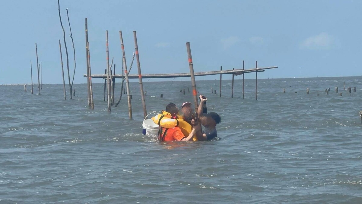 A1d4ce92163247e8ea670179afbba68b