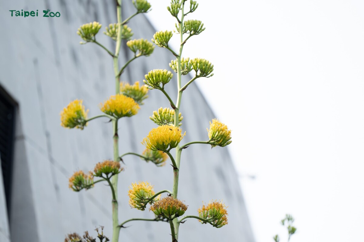 A3e41435ab886b35c24dcfe2282f1c6f