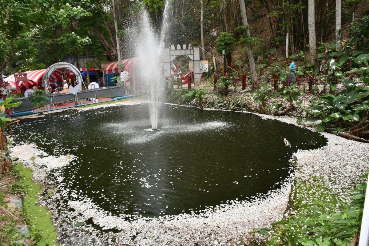 A7de17147c04889c8839411db75d585f