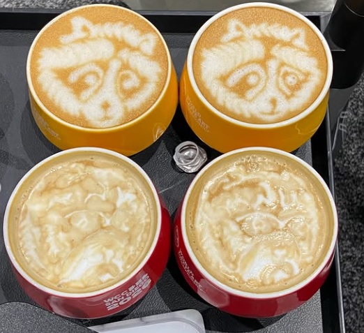 Aa0c25cd1323364eec74571e7a3f6668