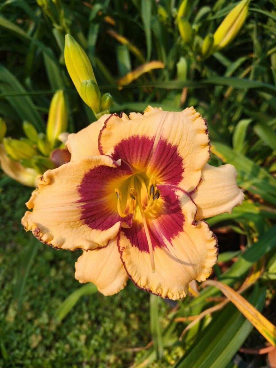 Ab1e74027603554e2b1eaee81e925612