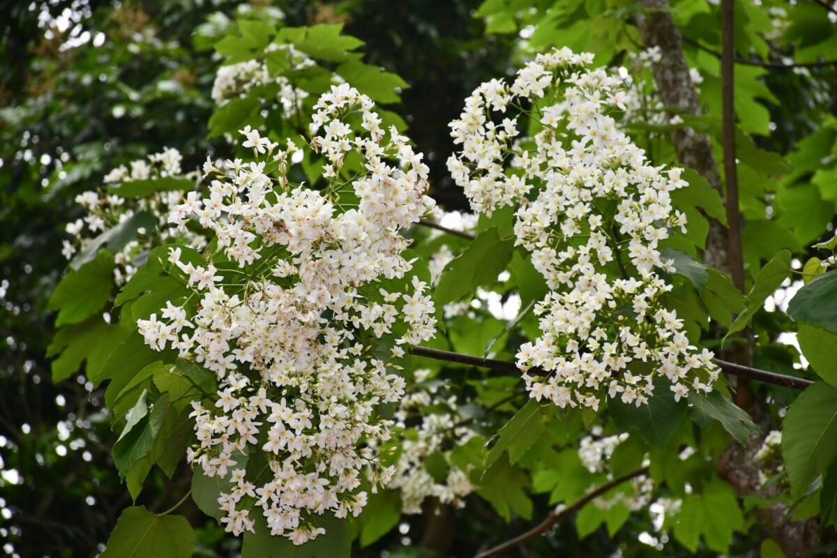 B18e57067dacf6dd8e6660fbd02fda5e