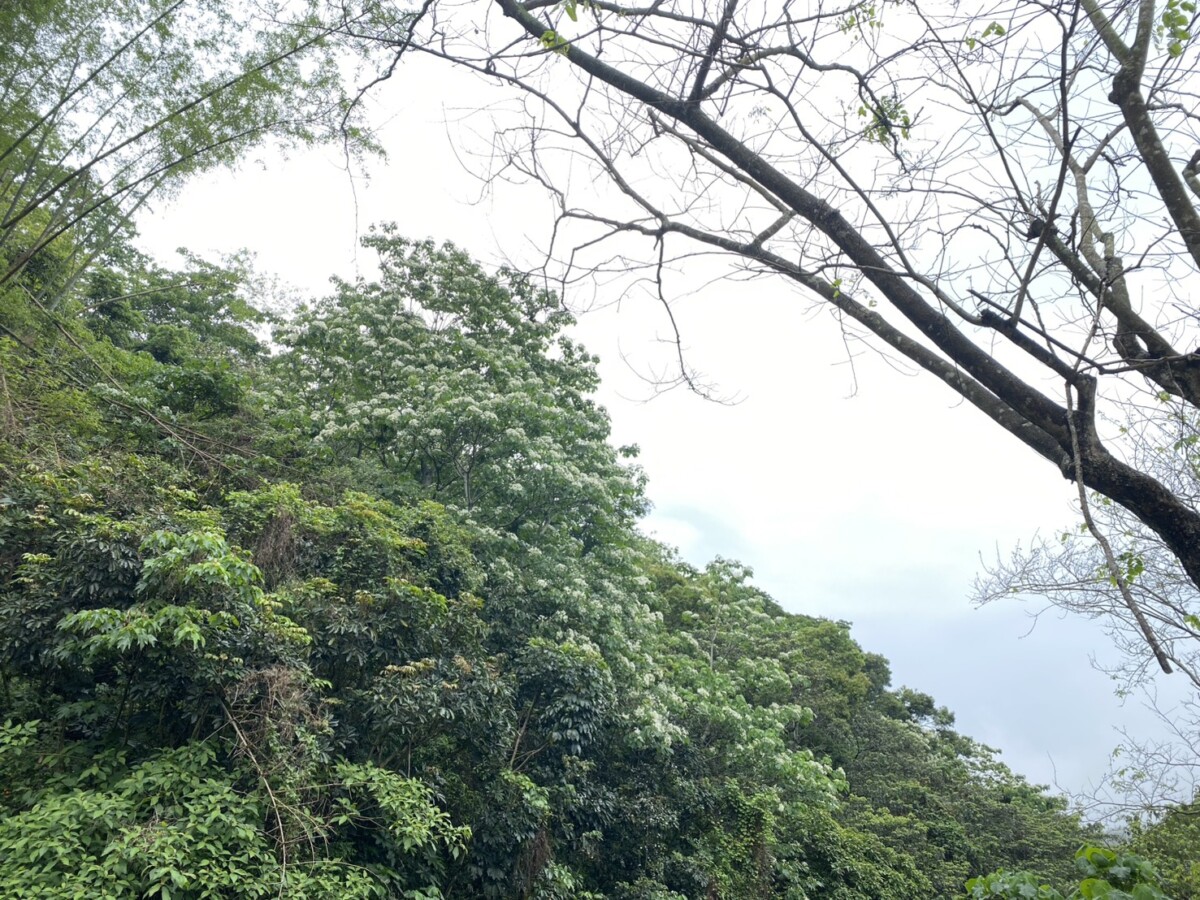 B42ddabb63ab9a7ea3aa8e19e2496815