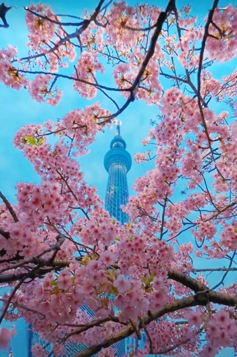 B477a597625494e9e07ad6784cf74274