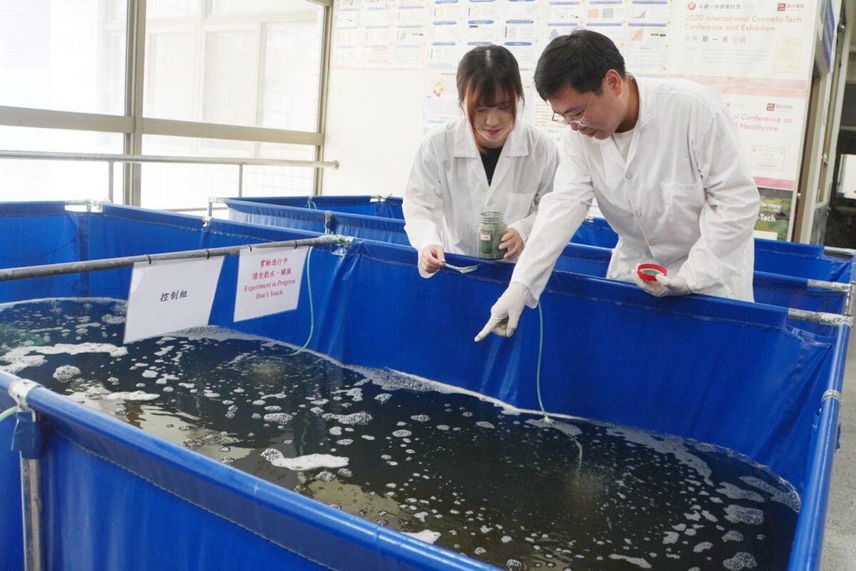 B7678b6cc35574ae709abde52395b898