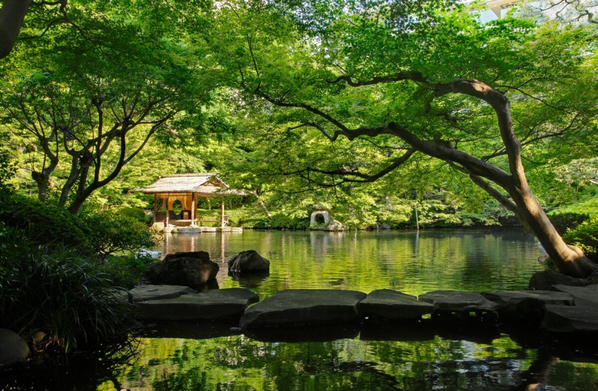 B8baf003e94d7a1c642ea60c3144ada8