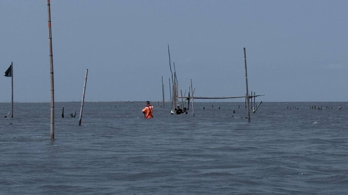 Bd7ceb1efe5b48e69db405e659a23d2b