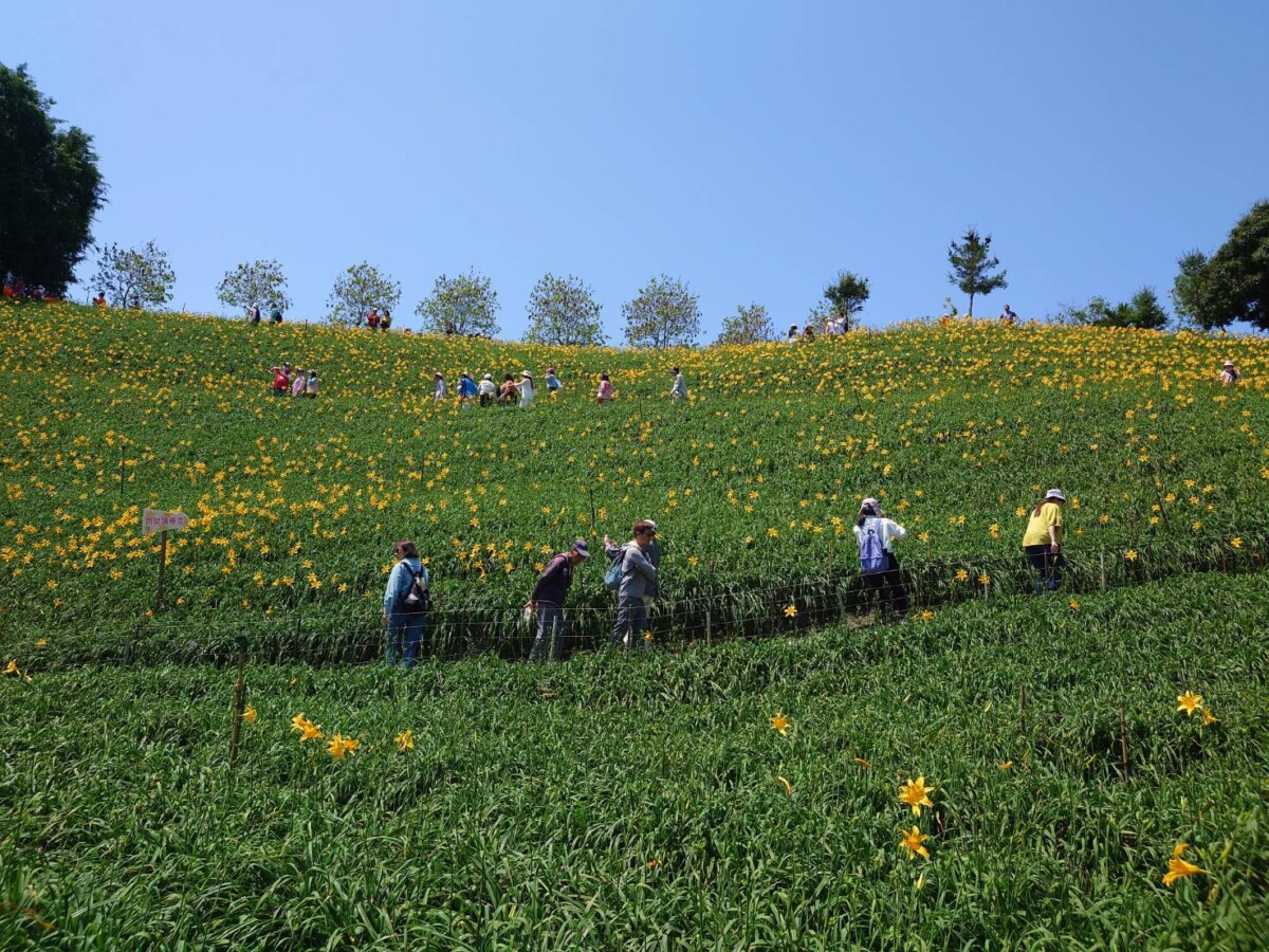 C5830d81279a38e77bb1c4d97194c314