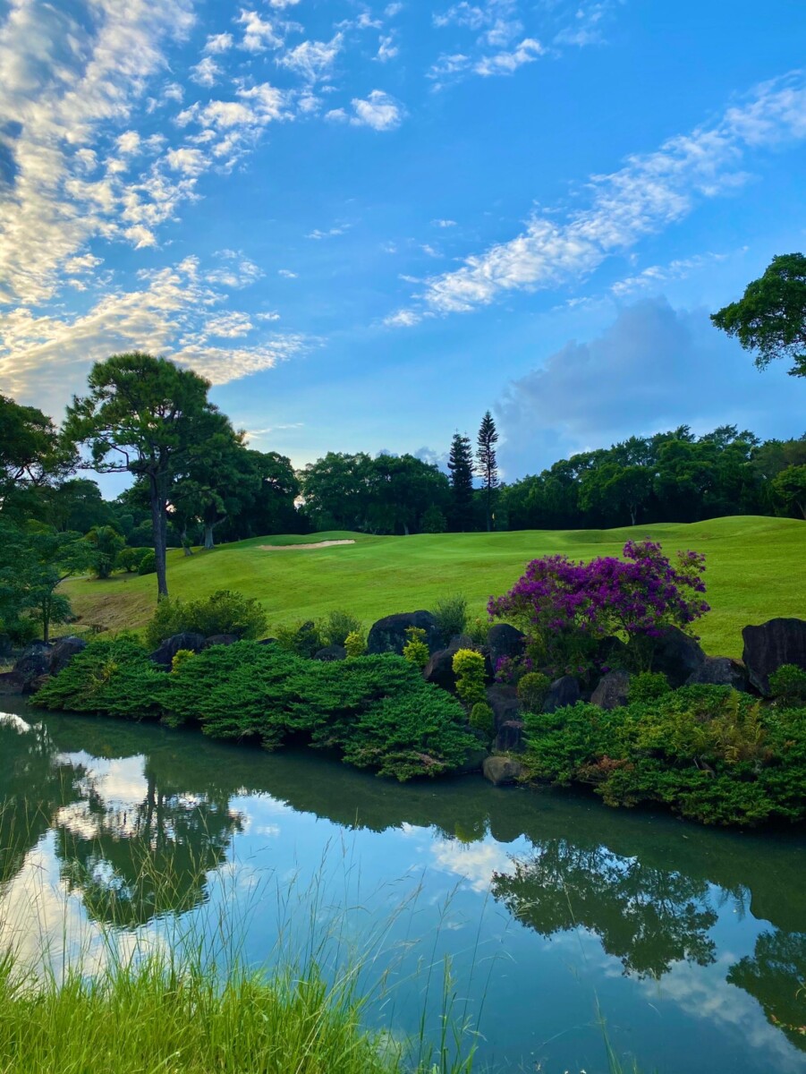 C65f166b3fbd63a24b31fa92986cddc2