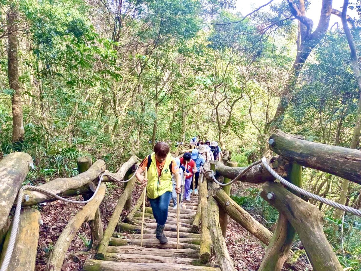 ▲「森林療癒」，規劃包含森林禪行、呼吸冥想、自然觀察與森林茶席等內容。(圖/記者顏淑娟翻攝)