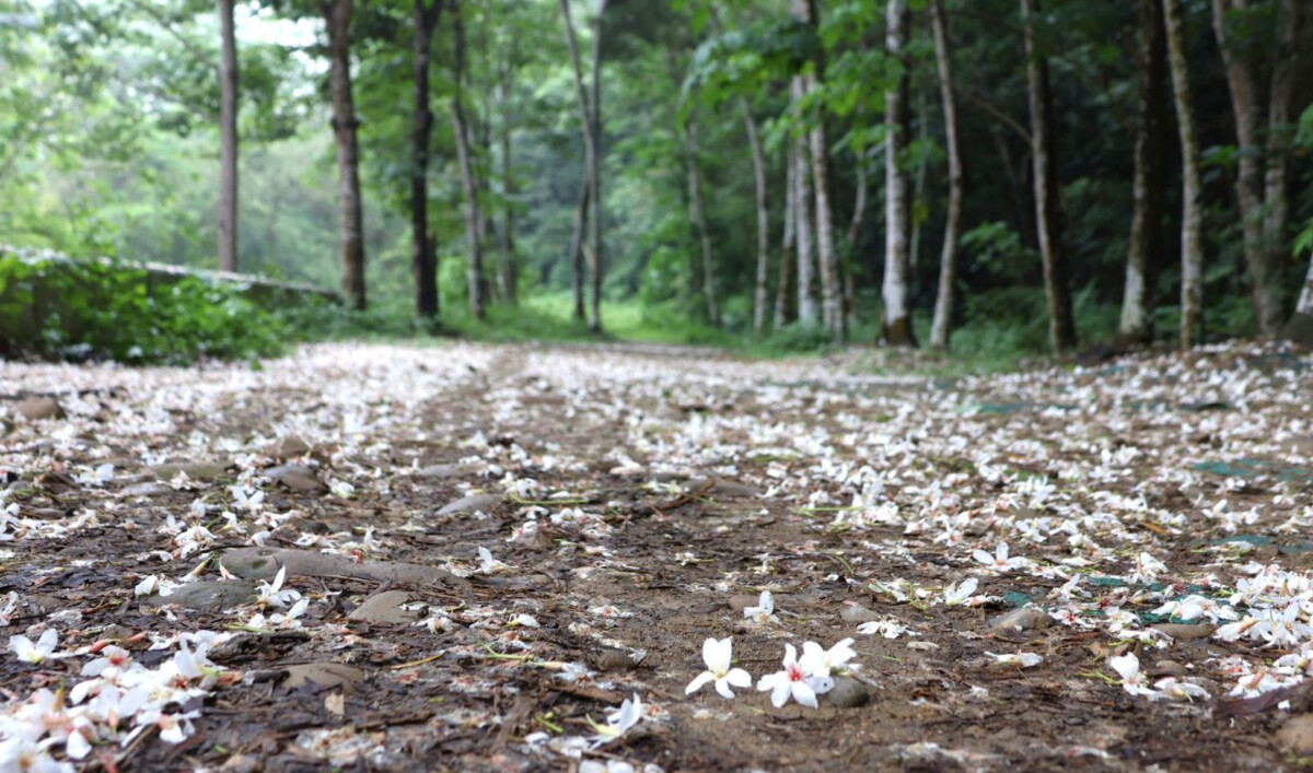 Ceddd1c7013cac7a98d3ff626d2fdbaf