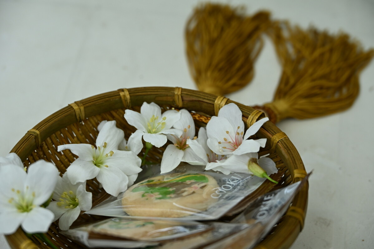 D652bcc6dd8e1aab825279fe4e22cd6f