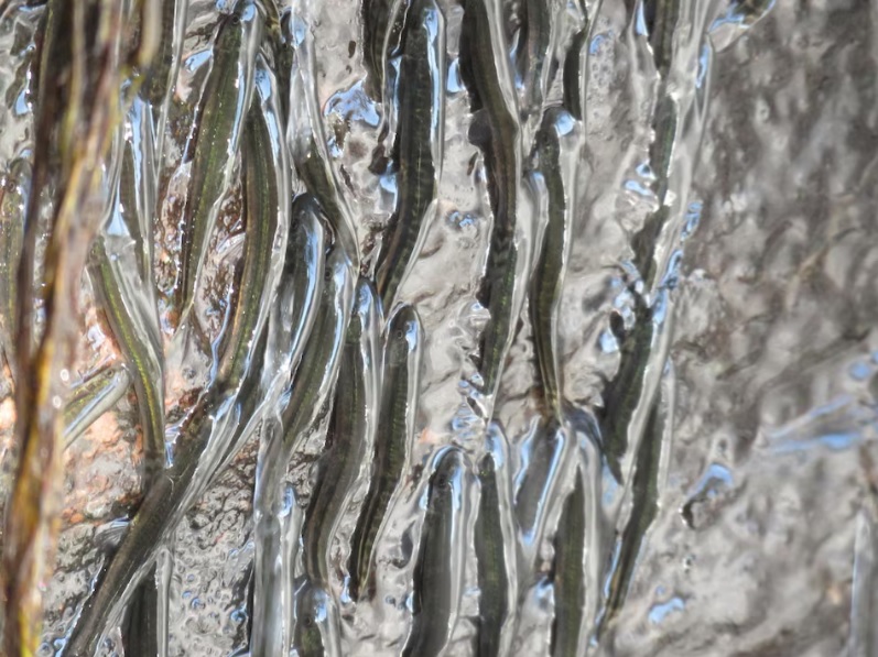 D9ed4832b0cb30f8dd55fc624223e51d