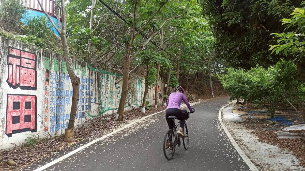 E1f64eb02abe086d83eee8cb7b5a8234