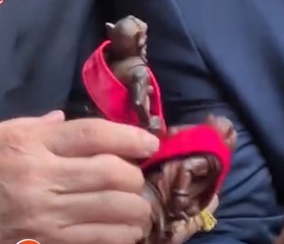 F585e1dd1300e62004d08d71c3ec9057