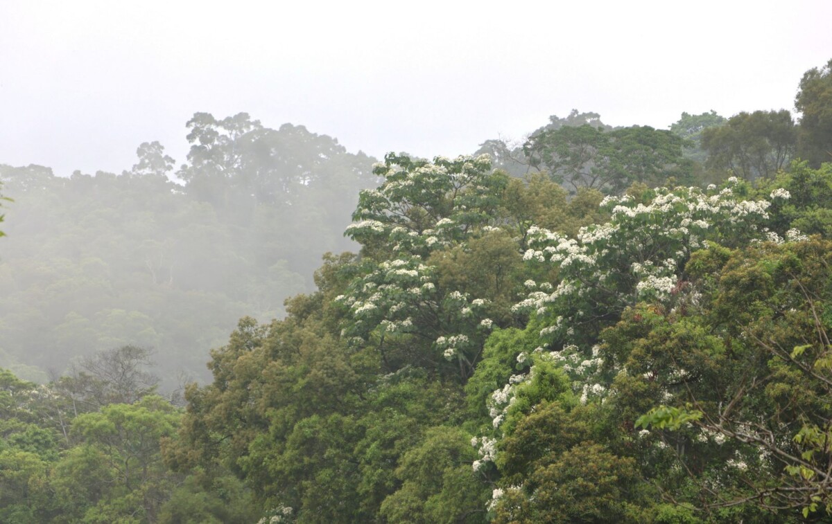 Fd72f76fbc6e56a3299e67e764827248