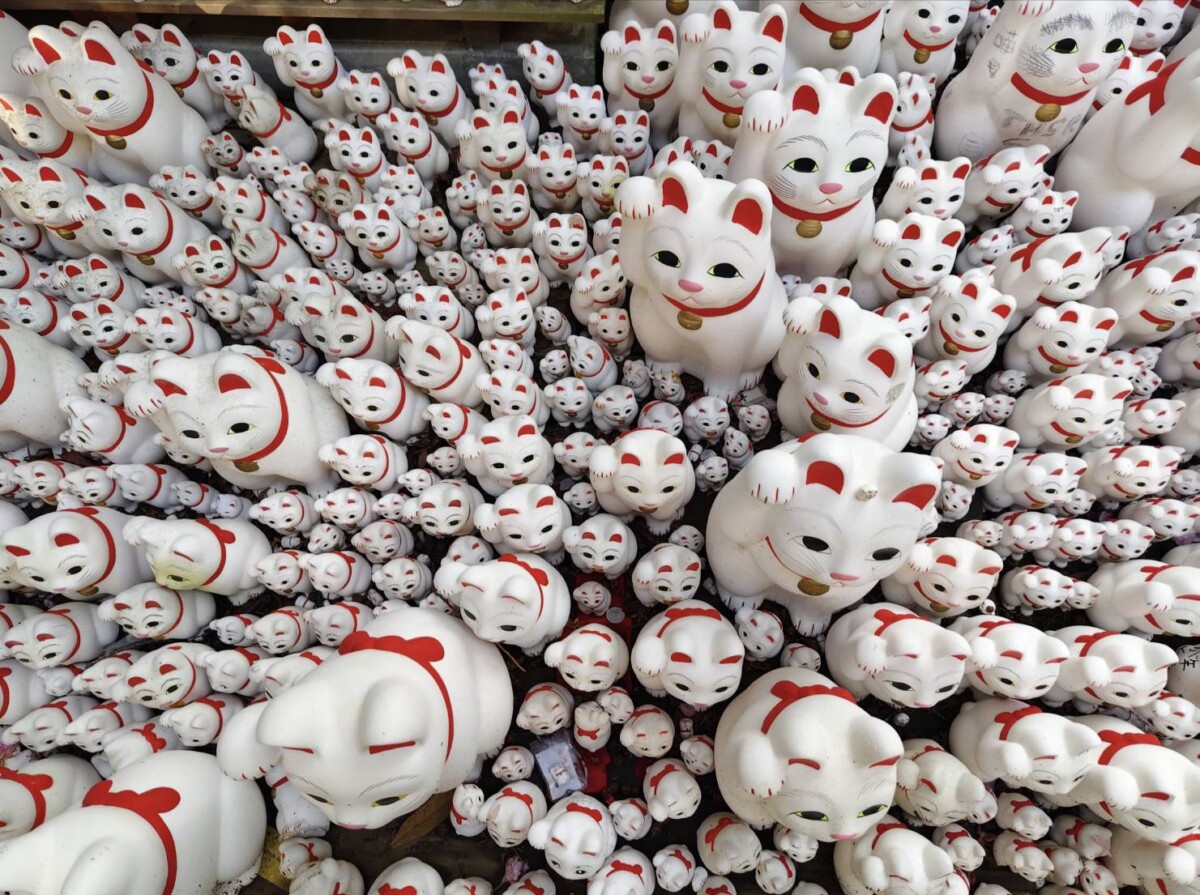 Fddb84e42041fd159e87de97f92a6834