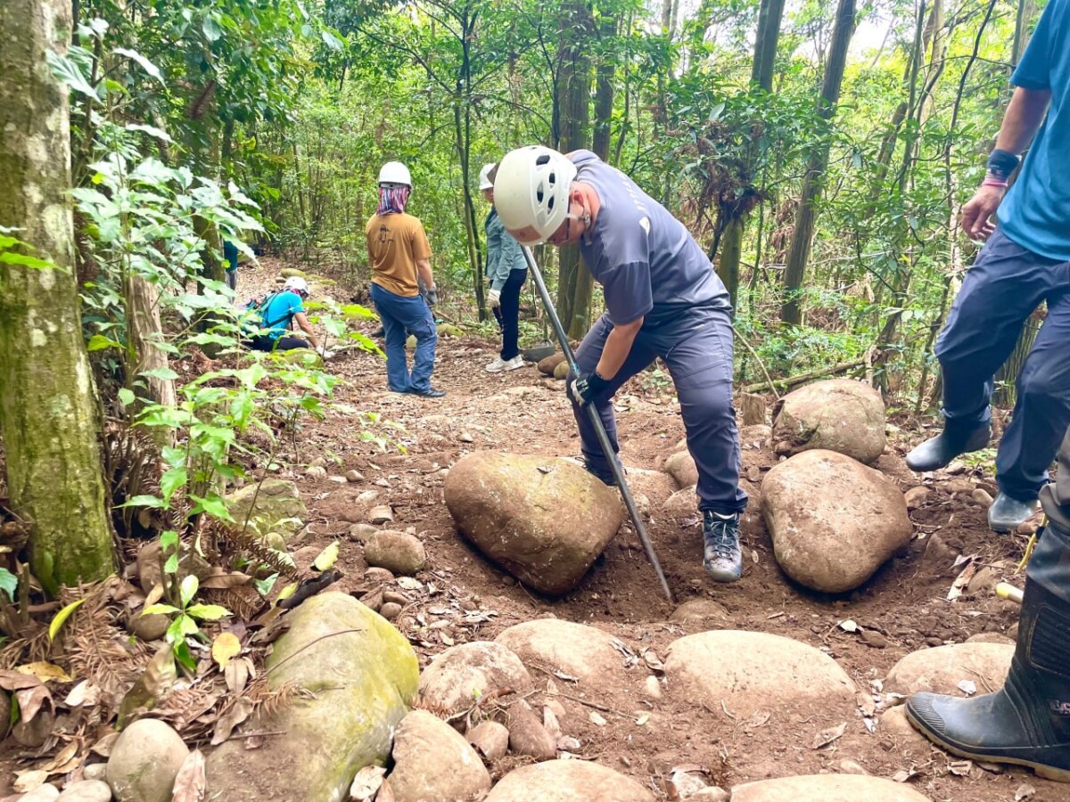 近50名志工手作修復大坑步道　齊心守護山林自然風貌