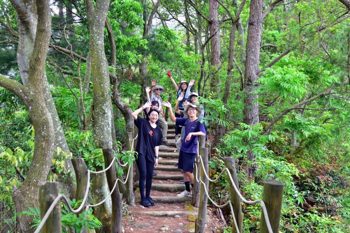 ▲大坑4號步道林間美景。(圖/中市府提供)
