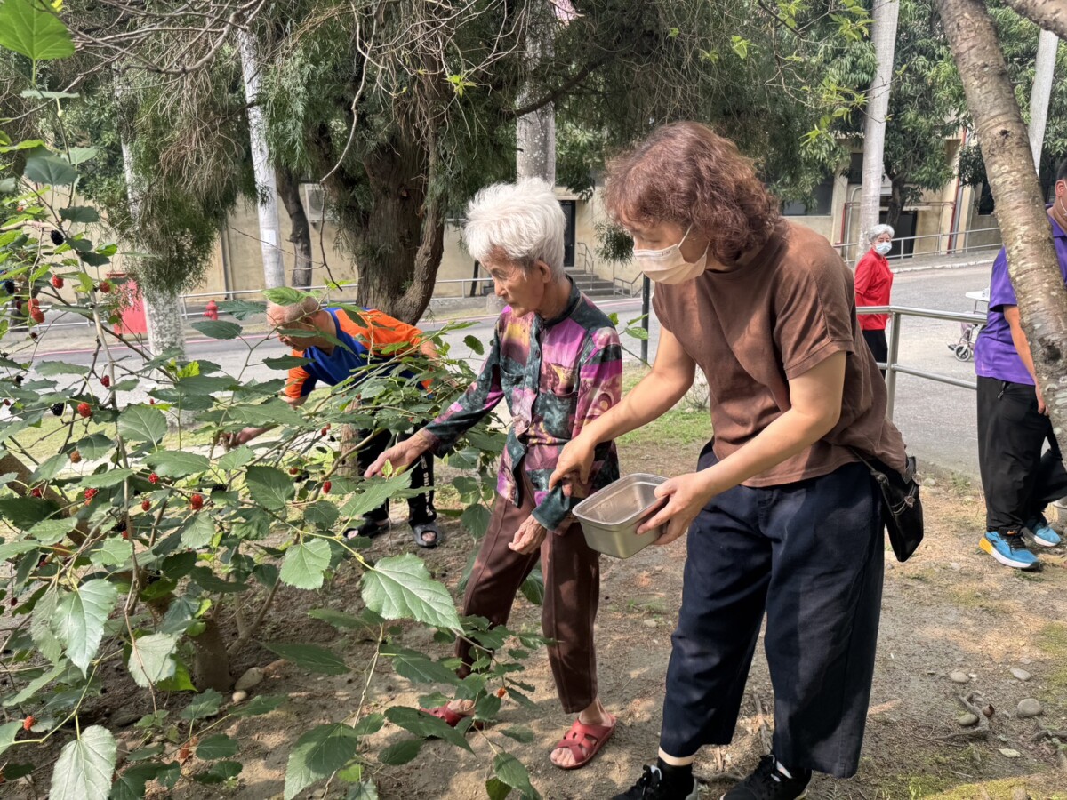賞花又採果！彰化榮家長輩春日療癒好開心
