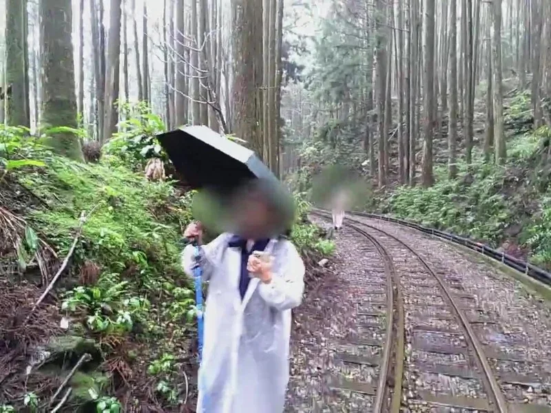 阿里山林鐵全線通車仍頻傳闖軌　37名遊客違規恐挨罰5萬元
