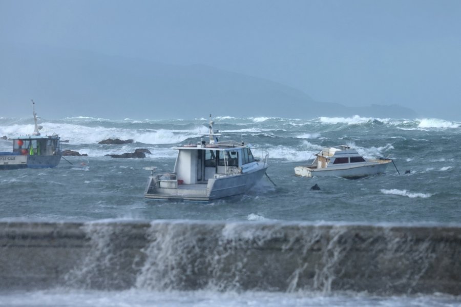 11公尺巨浪襲擊威靈頓海岸　紐西蘭緊急撤離數百居民封鎖海岸