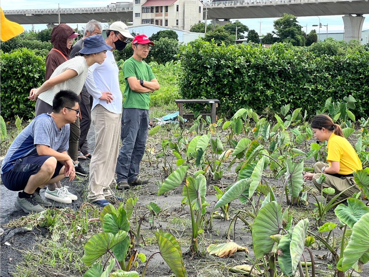 台中食農教育培力再升級　從產地到餐桌打造專業推廣人才