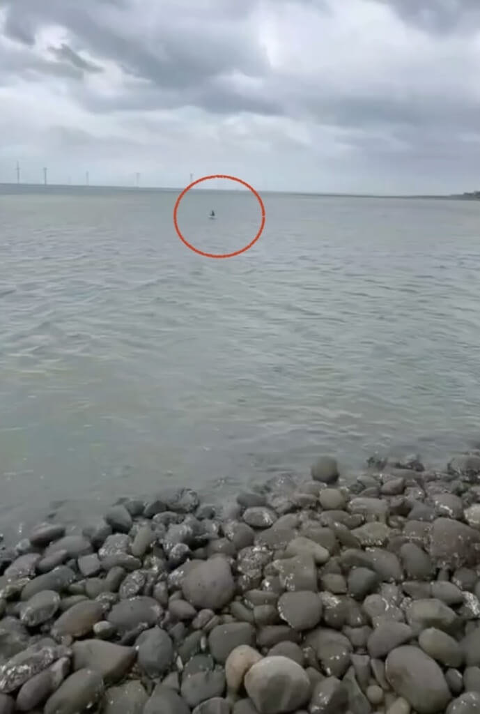 國小男童翹課漂海保麗龍驚魂！釣客即時救回一命
