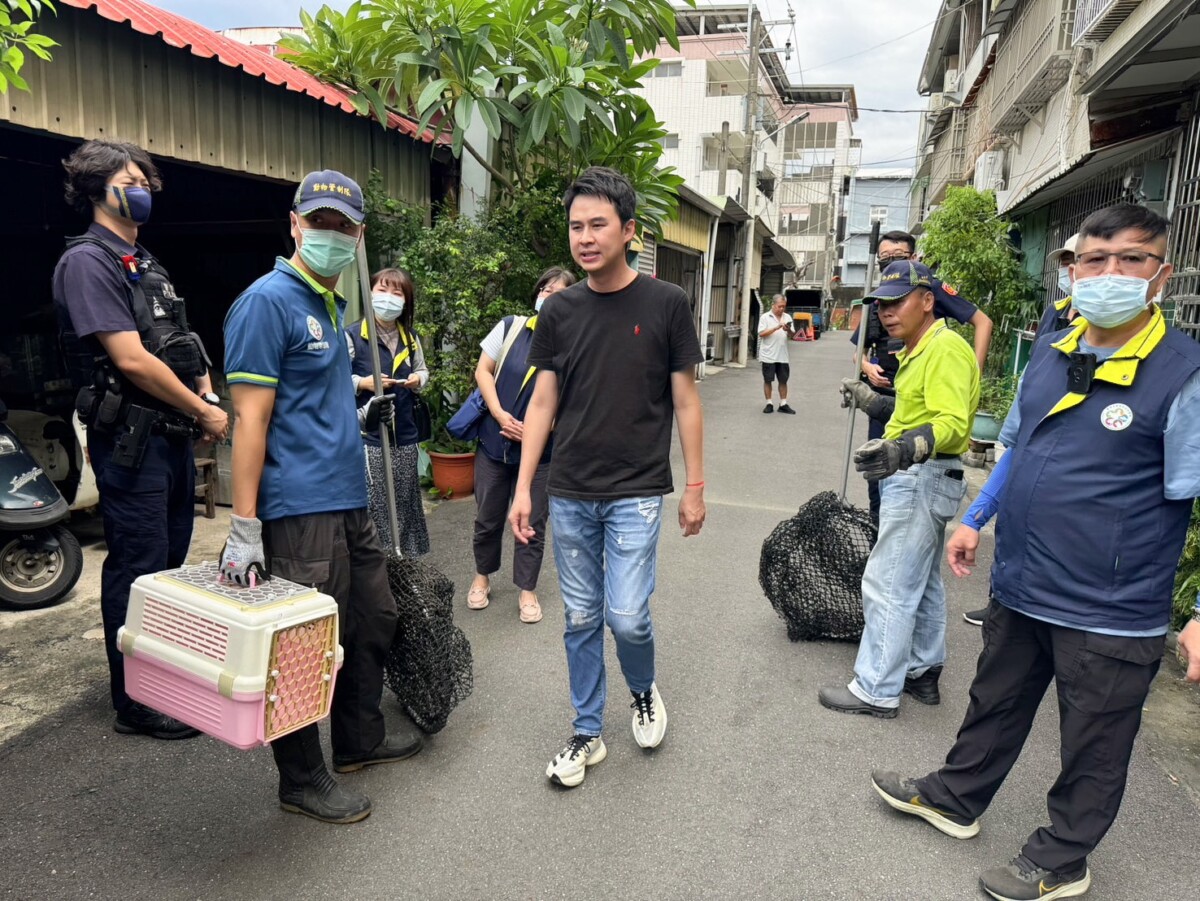 永康虐貓案最後一隻虎斑貓終於尋獲　林冠維議員親自抱出安置