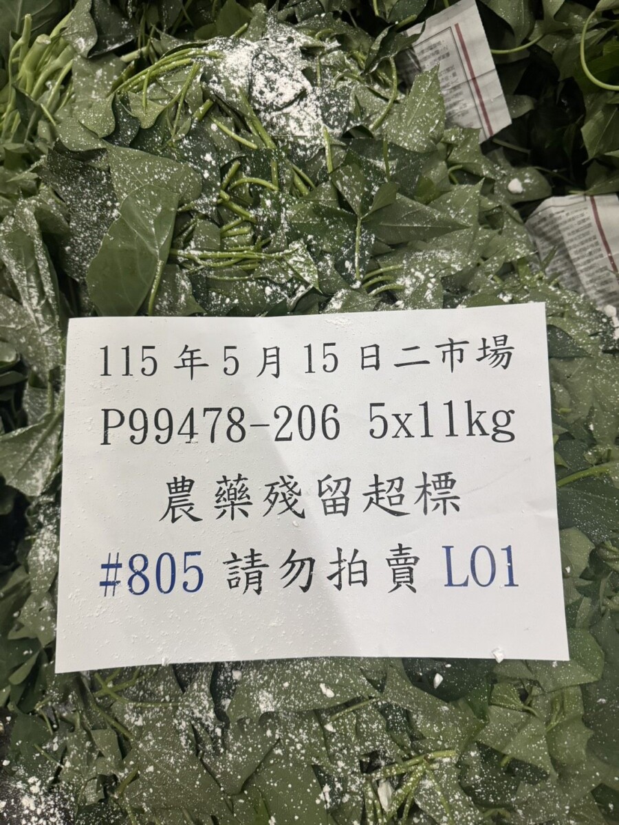 E028b8c62fb7dd5ad353000597684418