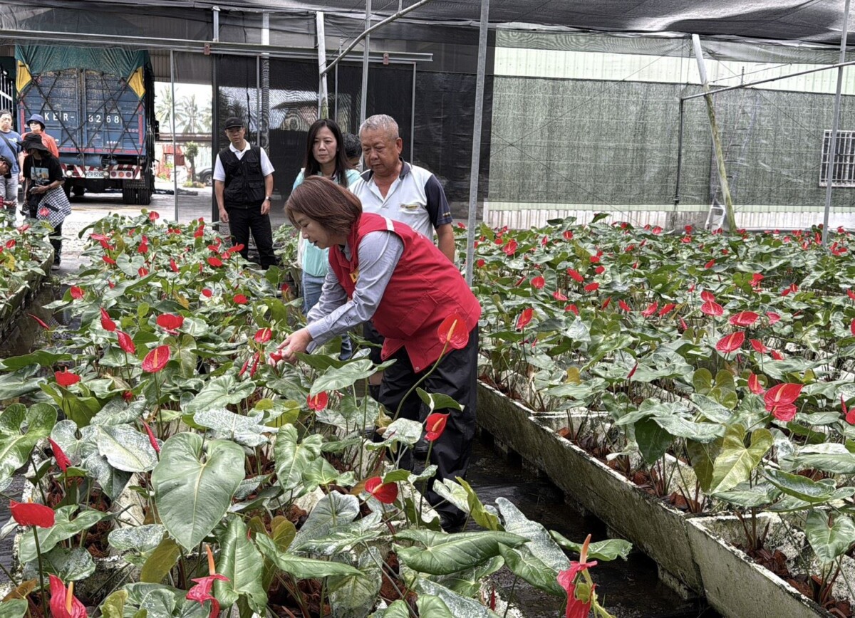 屏東豪雨災損突破6500萬元 周春米深入魚塭果園勘災爭取全品項救助