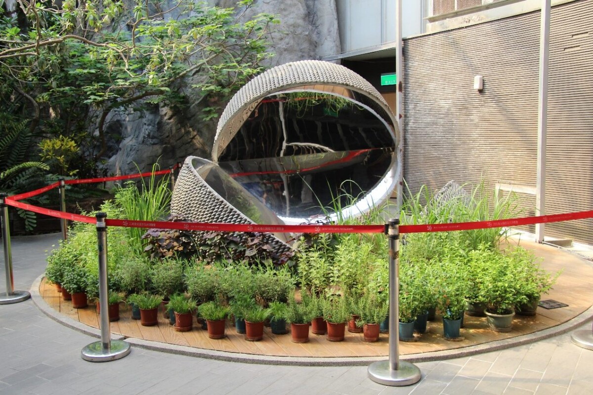 端午「驅邪四草」現身北市植物園！艾草香茅菖蒲一次看懂