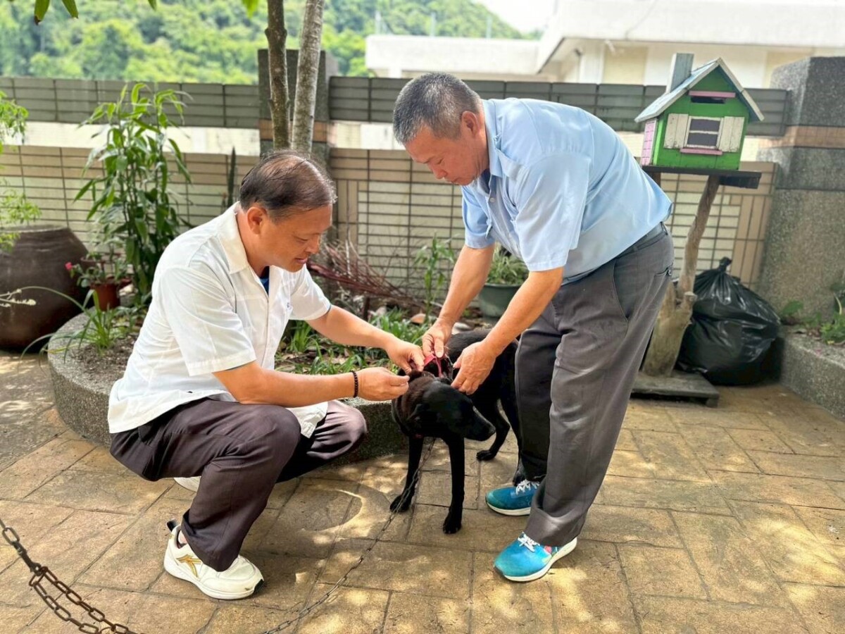 夏季野生動物活躍   中市推20場免費疫苗巡迴防狂犬病