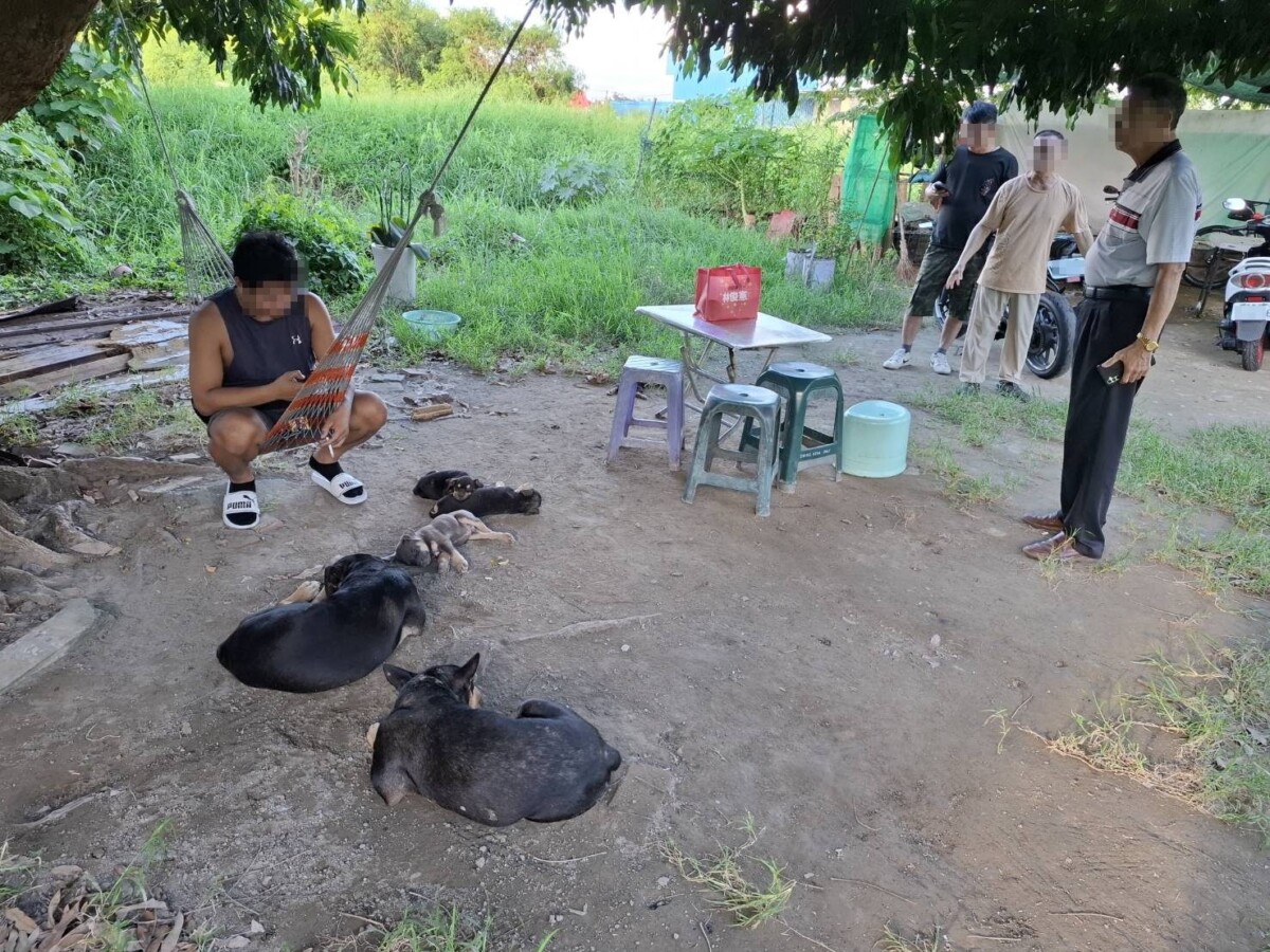 台南安南區疑似宰殺犬隻　查獲可疑檢體初判非犬隻組織