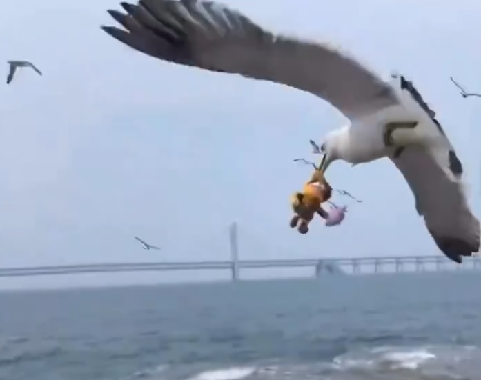 75254