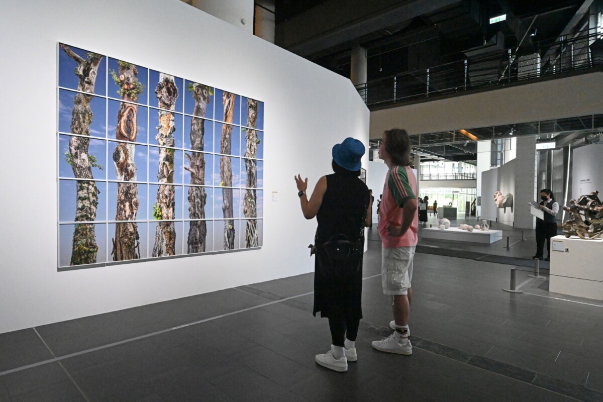 ▲「115年全國美術展」匯聚全國藝術創作能量，即日起展至10月11日。(圖/國美館提供)