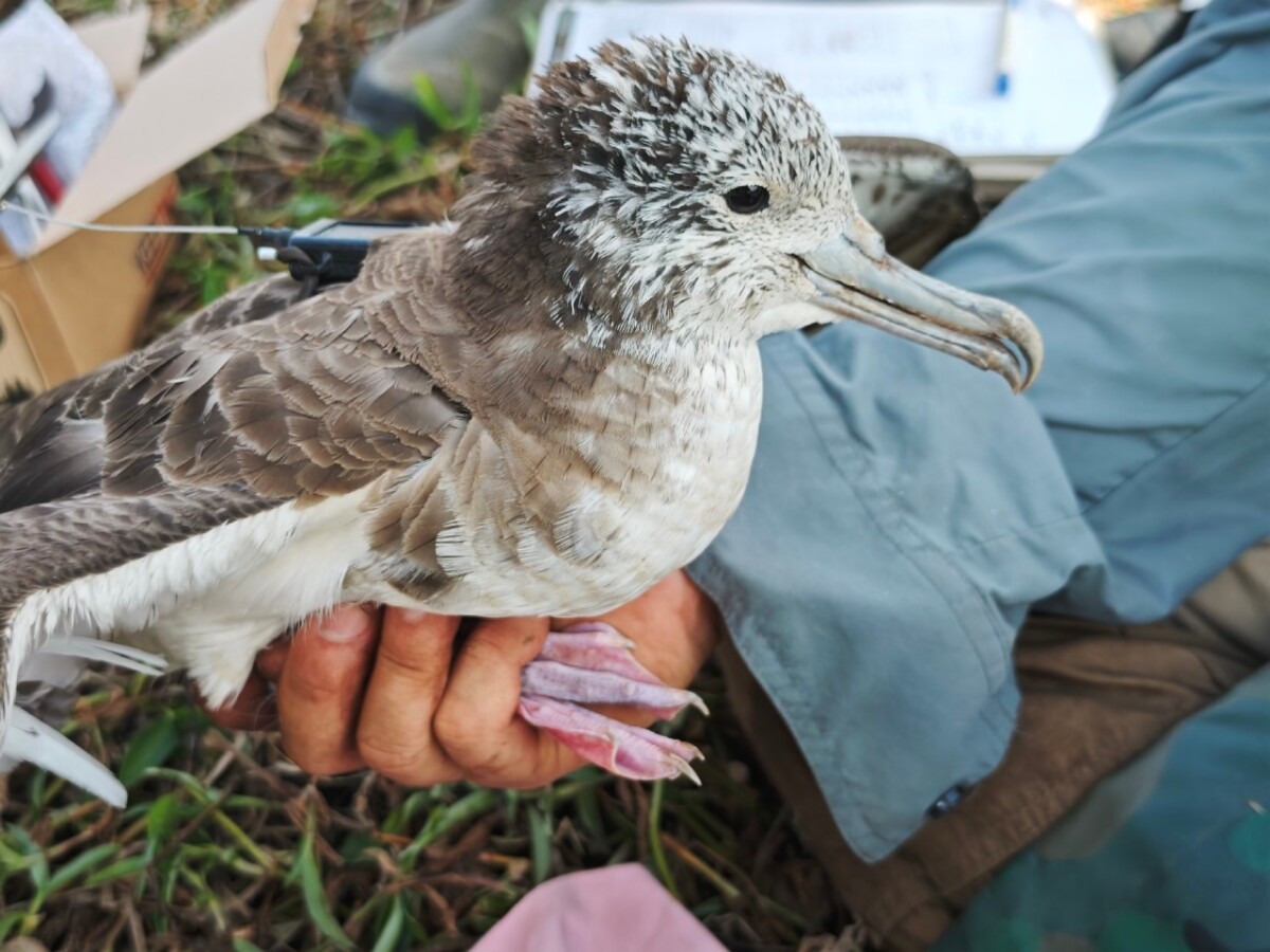 SQ07227 3沃旭勇奪生物多樣性銀獎