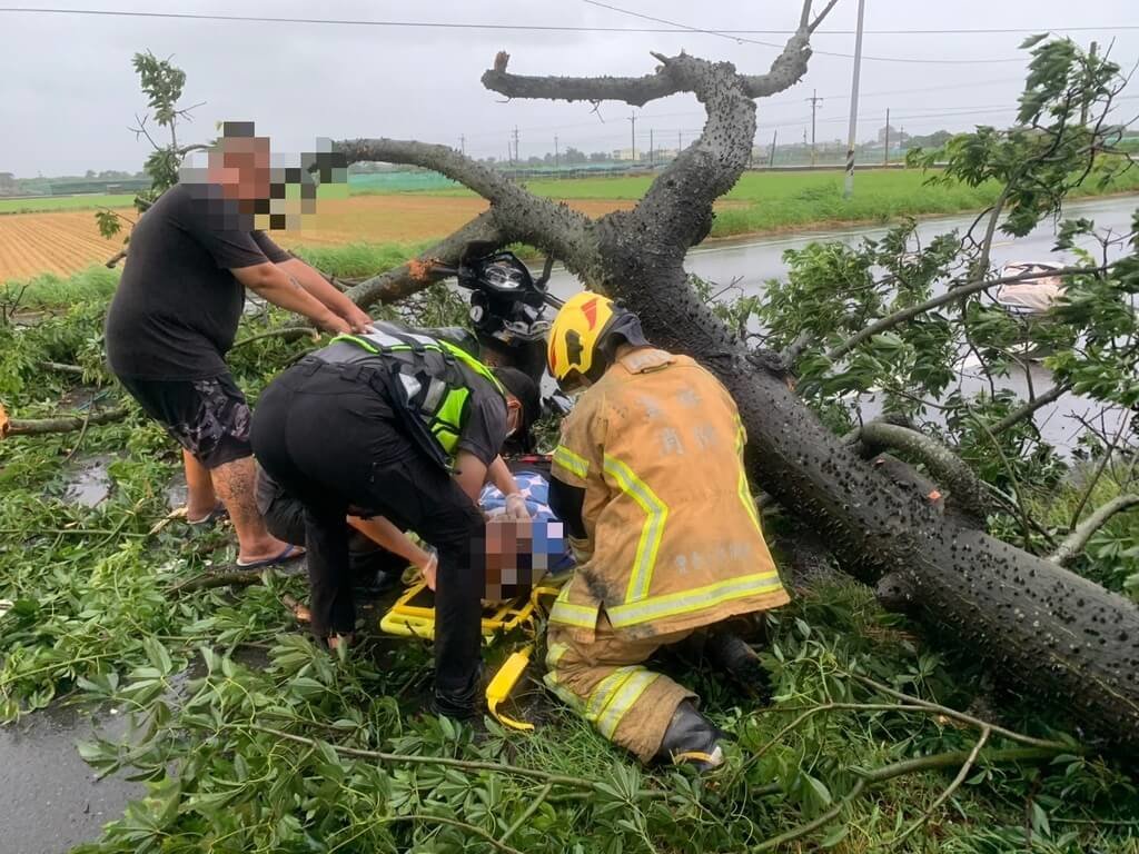 巴威強風吹倒路樹！雲林65歲婦騎車遭壓幸運救出送醫