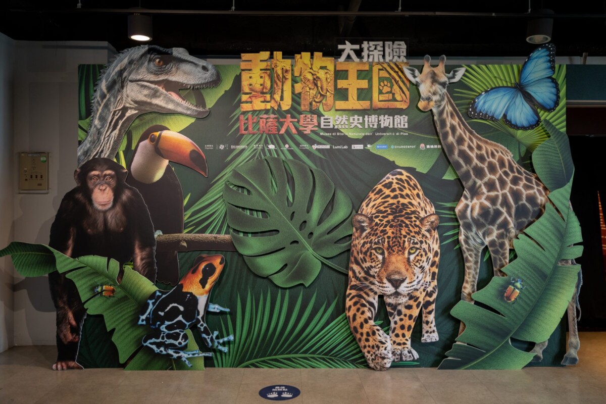《動物王國大探險展》登場 走進六大生態、穿越史前世界 《動物王國大探險展》登場 走進六大生態、穿越史前世界