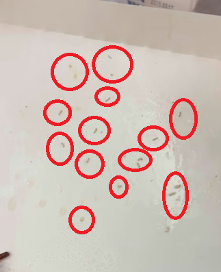 南高接連爆食安驚魂！便當爬蟲、鍋燒撈鋼絲衛生局介入