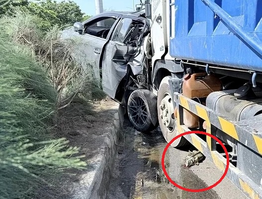 太離奇！為閃一隻綠鬣蜥釀車禍　休旅車急煞遭大貨車追撞慘毀