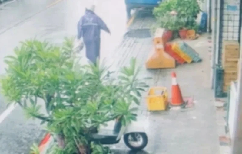 台南周氏蝦捲遭潑百隻蟑螂！29歲男落網聲押　3萬交保