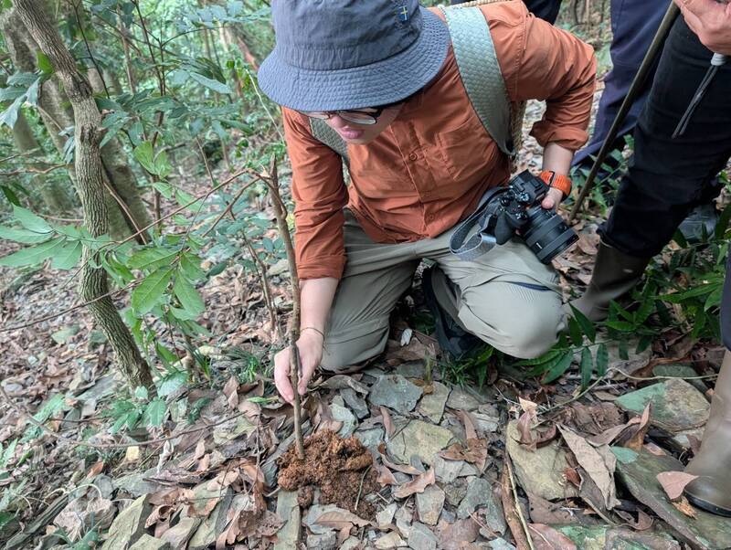 屏東三地門部落驚見不只一隻黑熊出沒　林保署證實留下新鮮排遺與爪痕