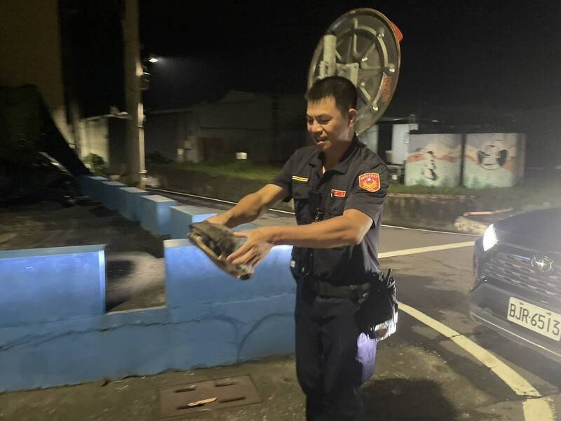 雨太大烏龜集體逃家！高雄深夜馬路「龜速爬行」嚇壞騎士