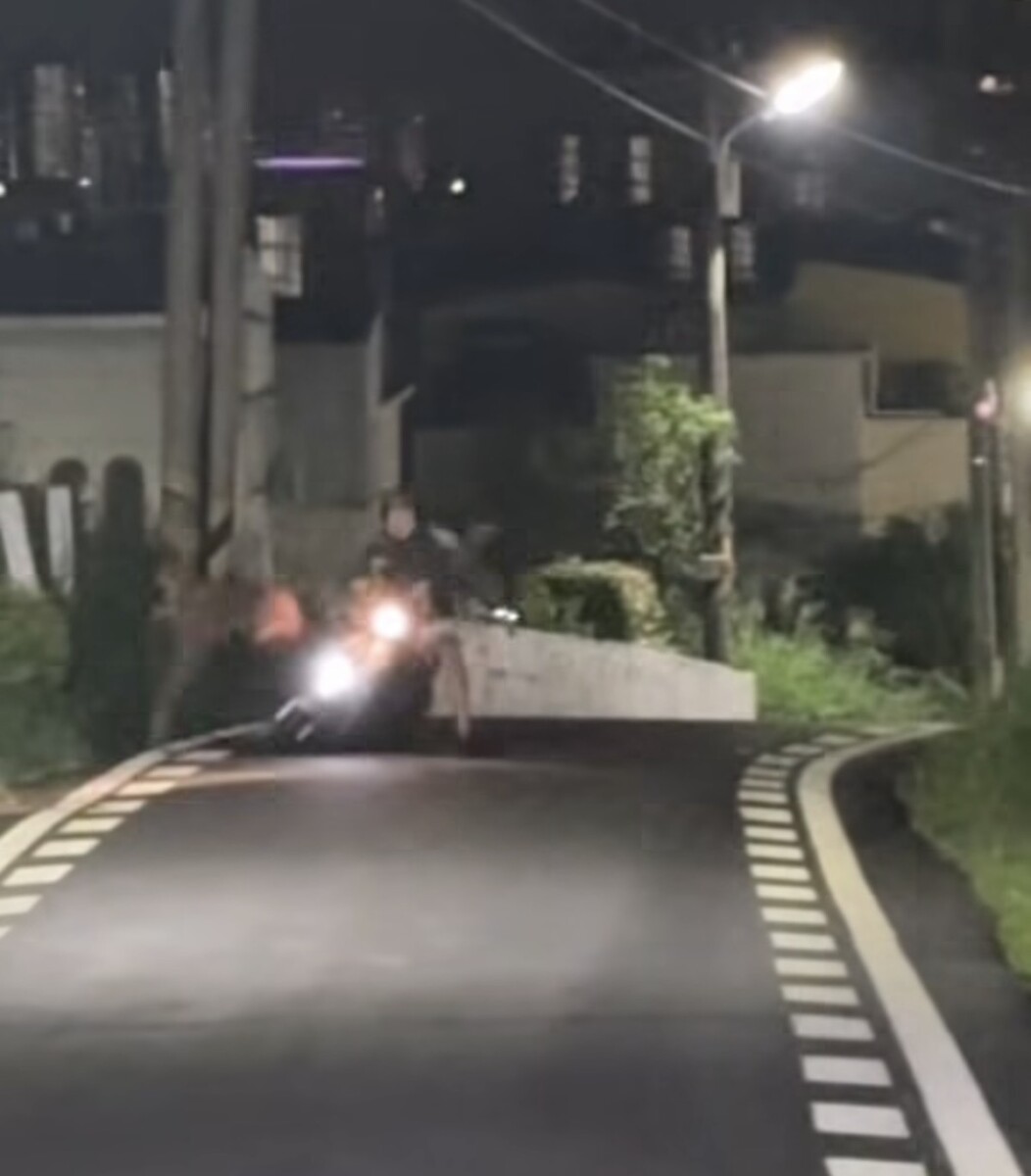 SQ08067 4水鹿夜闖道路　騎士險摔車