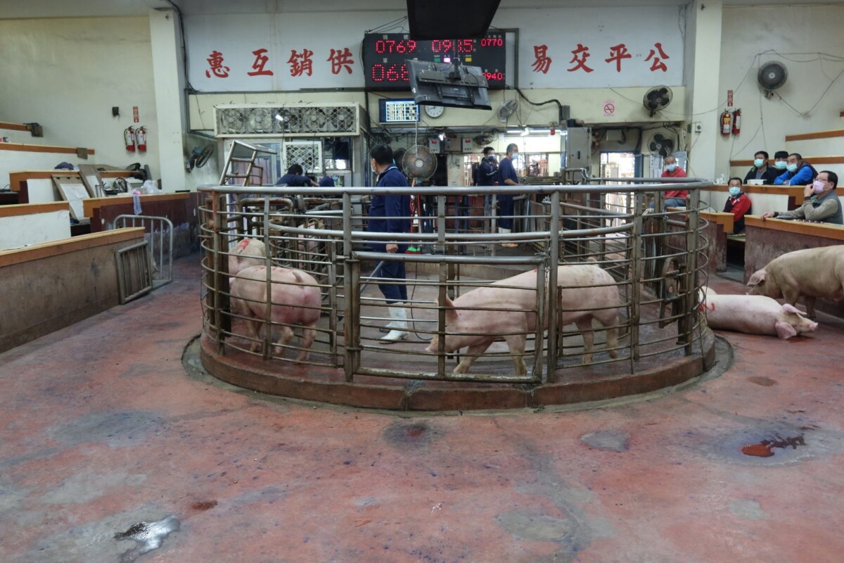 SQ08268 9中元節豬肉需求旺