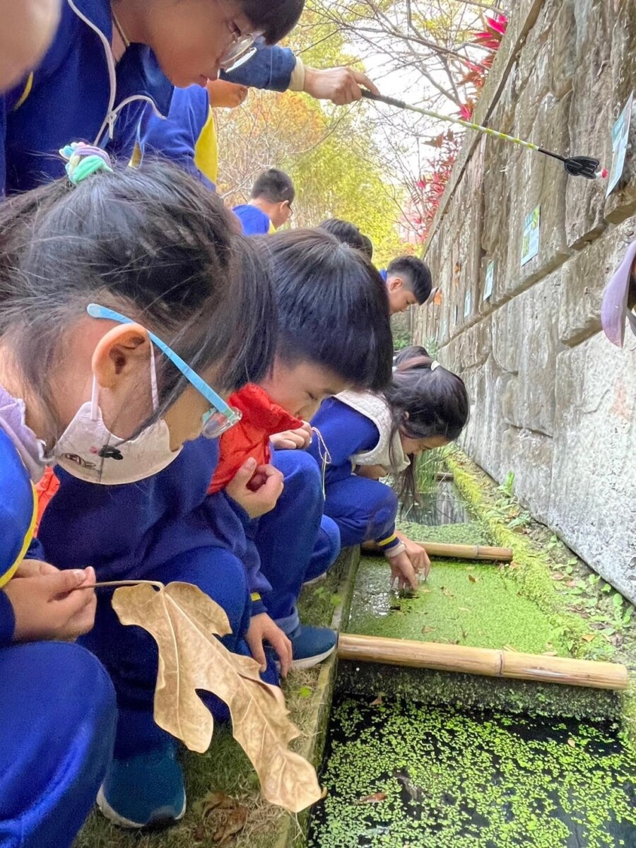 SQ08272 6大葉大學「綠教室」獲永續銀獎