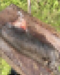 D8857327
