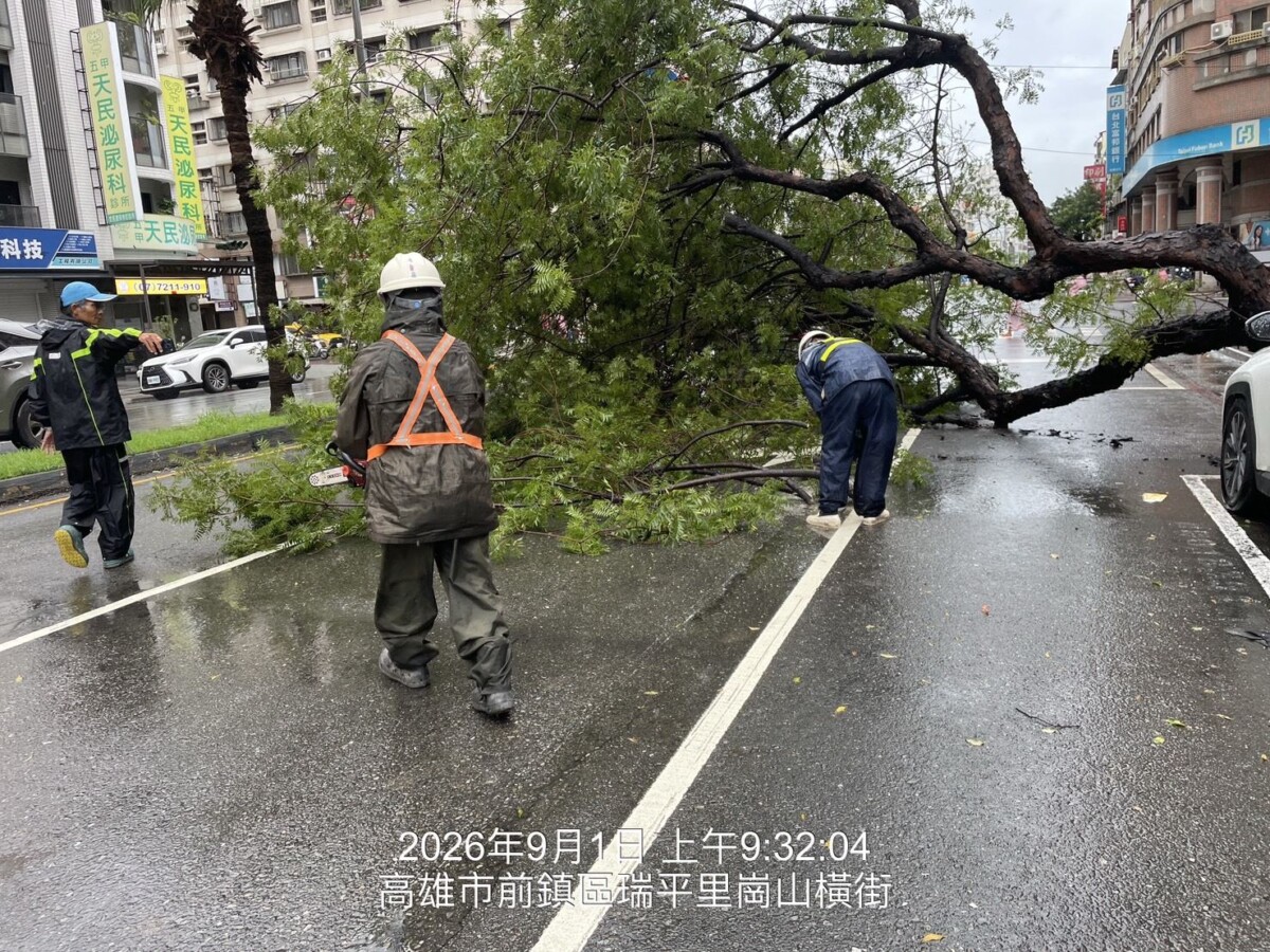 豪雨狂炸高雄！前鎮保泰路路樹突倒壓車道　交通受阻急搶通